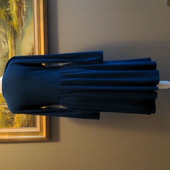 ModCloth Blue Ribbed Dress - Picture 3 of 5